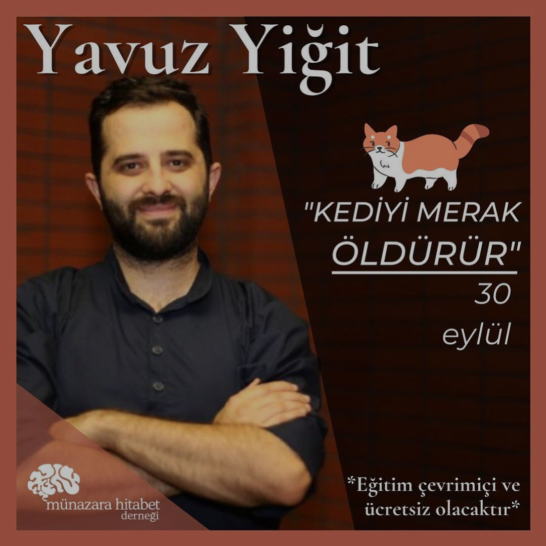 kediyi-merak-oldurur